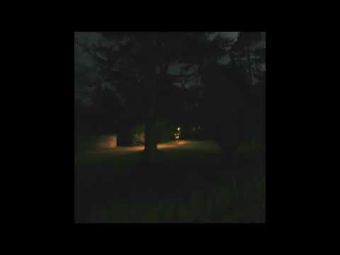 [FREE] nothing,nowhere. x skele x sendflowrs x jay vee type beat - a better place for you.