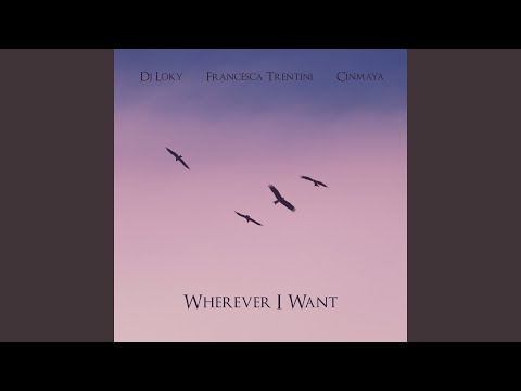 Wherever I Want (Radio Edit)