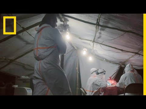 La Covid-19, un virus parmi tant d'autres