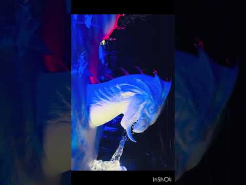 വിന്റർ വണ്ടർലാൻഡിന് പിറകിലെ ഒളിഞ്ഞുകിടക്കുന്ന രത്നം”(London Winter Wonderland 🇺🇸)