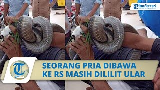 POPULER: Seorang Pria di Vietnam Dibawa ke Rumah Sakit dalam Keadaan Tangan Masih Dililit Ular Kobra