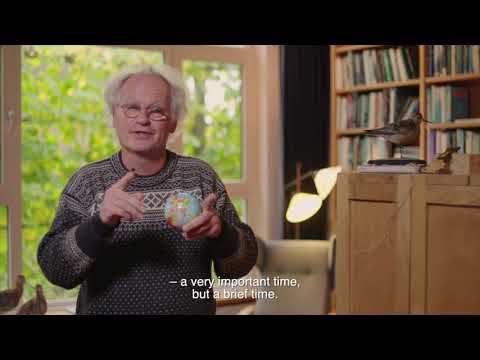 Life sciences in the Netherlands, the next step - Theunis Piersma