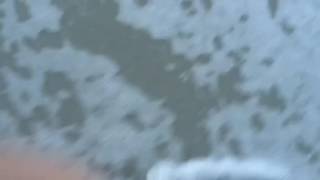 Last day at the beach