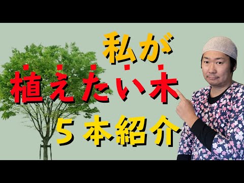 プールの近くに植えてはいけない木はどれですか?何のために ？最悪の5種は何ですか?そしてベスト5は？  庭園