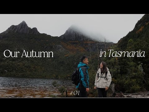 vlog | tasmania road trip (part 1) - cradle mountain hike, tasmania parks & wildlife!