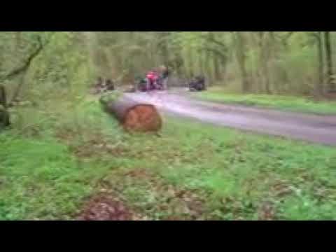 OFFENBACH VS. HAMBURG ST. PAULI ACKER FIGHT HOOLIGANS FELD WALD WIESE