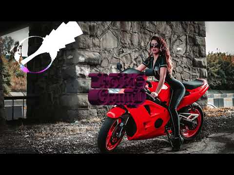 Mr Shammi   Blaze It Up In This Party