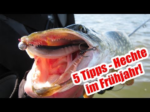 5 Tipps zum HECHTANGELN direkt nach der Schonzeit! | Auf Hecht im Frühjahr!
