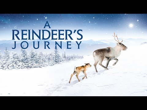 A Reindeer's Journey (2018) Trailer