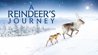 A Reindeer's Journey - Official Trailer