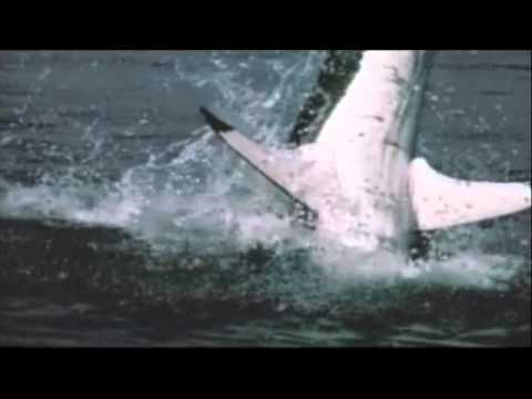 Samira Said - Nefsy Atkalem (Lyrics Translation)