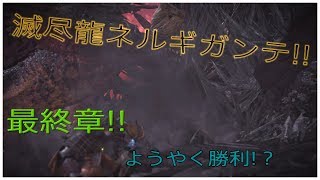 MHW 実況滅尽龍ネルギガンテソロ狩り最終章!!