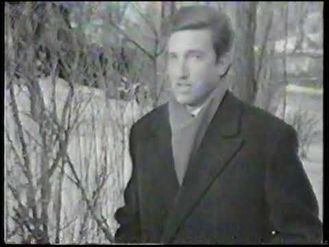 VICE VUKOV -  Veselo srce kudelju prede (video)