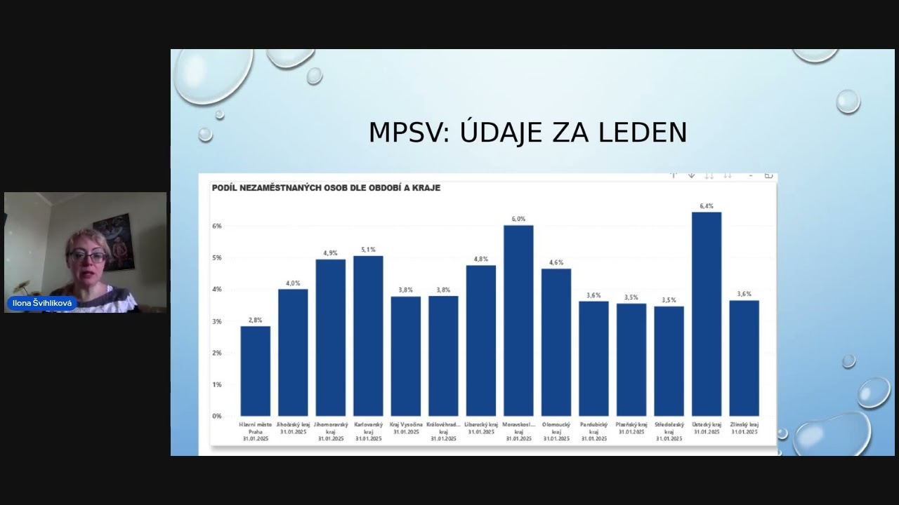 Stagnuje česká ekonomika? A proč?