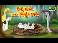 దుష్ట పాము తెలివైన బాతు Telugu Stories Evil Snake And Wise D