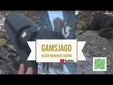 Gamsjagd in den Niederen Tauern