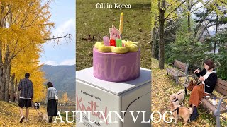[日韓夫婦/한일부부]韓国に住む日本人の秋vlog🍂/ 한국에서 사는 일본사람 가을 브이로그