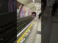 London S World Famous Tube Underground Train Mind The Gap
