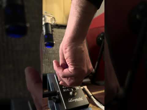 Lovepedal Gen 5 Echo 2010s image 5