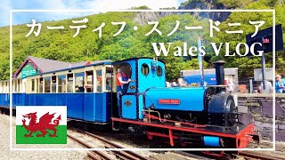 ［海外Vlog］ウェールズ首都でウェルシュケーキ／カーディフ城／ファームショップ／スノードニア国立公園／ランべリス湖岸鉄道
