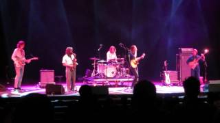 Alex Cameron - The Chihuahua @ Primavera Sound 2017