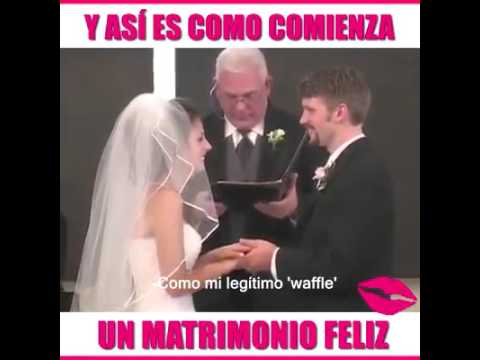 Así es como comienza un matrimonio feliz