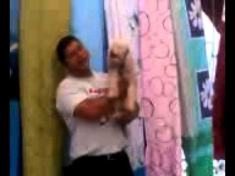 el perro tambien vende