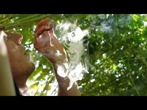 Mendo Dope "Green Shade" - Official Music Video