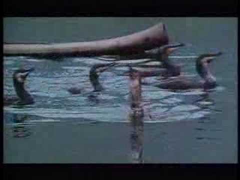 He Dances For His Cormorants (clip)
