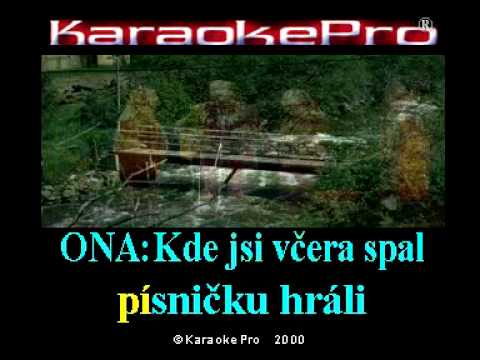 Waldemar Matuška a Helena Vondráčková - To se nikdo nedoví (karaoke)