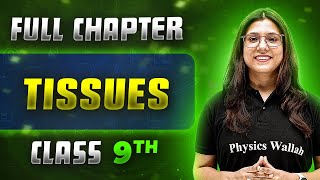 Tissues FULL CHAPTER | Class 9th Science  | Chapter 6 | Neev