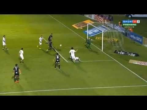 ✓SÉRIE B 2018🇧🇷 12° Rodada  PONTE PRETA 1 X 1 CSA Gols⚽: ▶Junior Santos_Ponte Preta ▶Celsinho_CSA