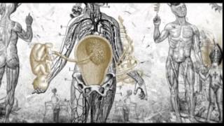 SepticFlesh_Burn (lyrics)