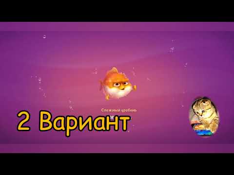 Fishdom 2022, no Boosters,   834   level  -  прохождение без бустеров,   834   уровень.