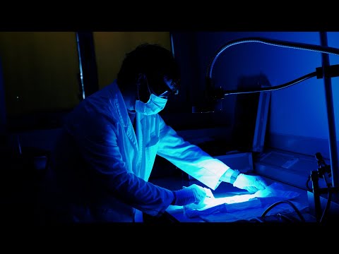 FROM THE INSIDE: SCIENTIFIC EVIDENCE