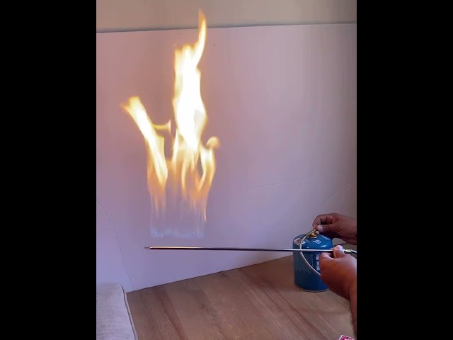 شاخوف طويل  حطب