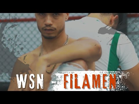 WSN FILAMEN