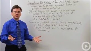 Evolution - Adaptive Radiation