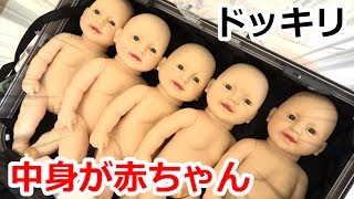 【ドッキリ】スーツケースの中身を大量の赤ちゃんにすり替えてやったｗｗｗ