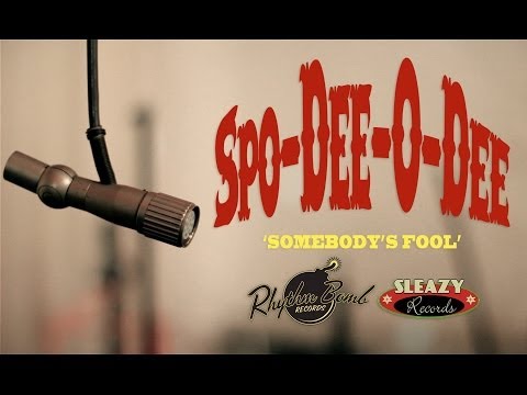 Spo-Dee-O-Dee 'Somebody's Fool' RHYTHM BOMB/ SLEAZY RECORDS (official music video) BOPFLIX