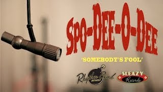 Spo-Dee-O-Dee 'Somebody's Fool' RHYTHM BOMB/ SLEAZY RECORDS (official music video) BOPFLIX