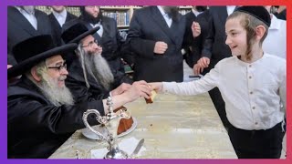 אהבו רבו – תלמוד תורה כנסס יהושע | הרש אלימלך רובין ואהרון יוסף פרידמן