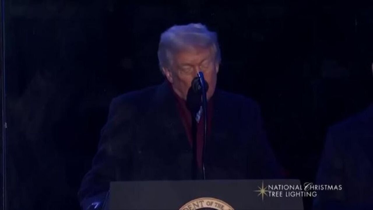 Trump e Melania accendono l'albero di Natale di Washington, il momento del conto alla rovescia