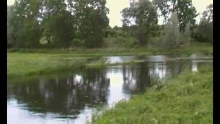 preview picture of video 'Tollensehochwasser August 2011'