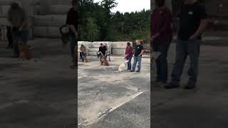 How To Keep Moving Forward When Life Sets You Back