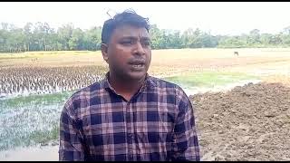 আত্মকর্মসংস্থান