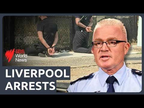 Police release seven men from Victoria after 'high-risk stop' in south-west Sydney