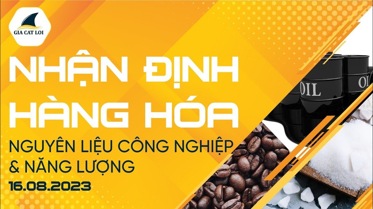 Nhận Định Hàng Hoá Năng Lượng & Nguyên Liệu Công Nghiệp 16/08/2023