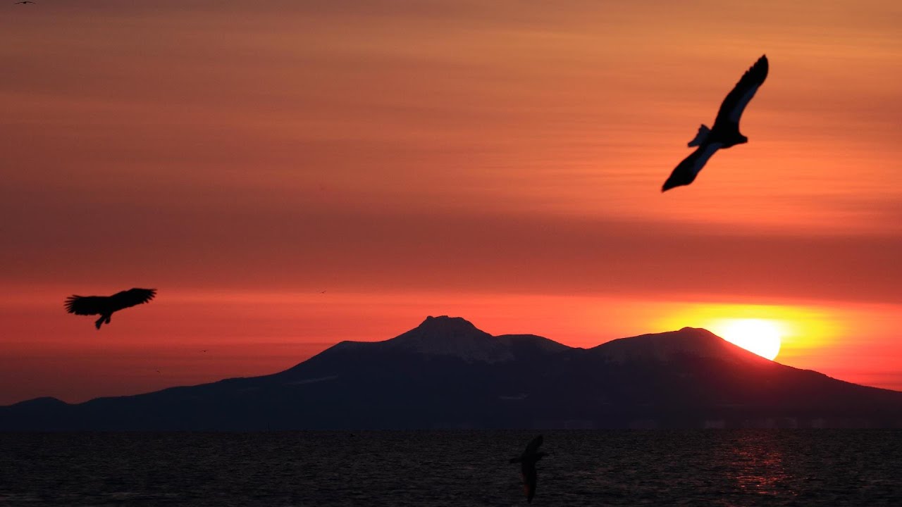 千島歯舞諸島居住者連盟羅臼支部「北方領土返還運動署名活動」第２回知床らうす産業祭にて
