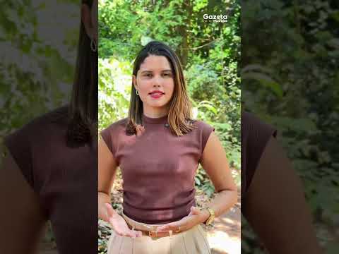 Hydro usa IA em Paragominas e Barcarena para prever falhas antes que máquinas parem